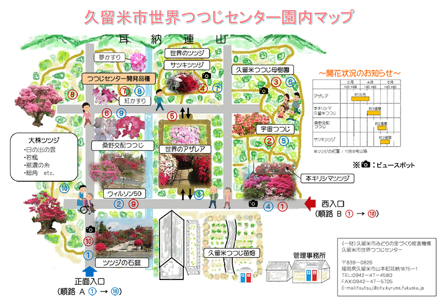 久留米市世界つつじセンター園内マップ 久留米市世界つつじセンター