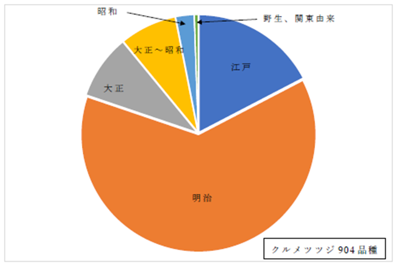 これまで記録されているクルメツツジの作出時期別割合