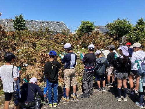 山本小学校総合学習（５月９日）の画像