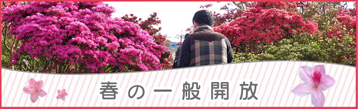 春の一般開放
